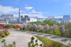 河钢集团唐钢公司低压控制柜、PLC控制柜、中控室系统